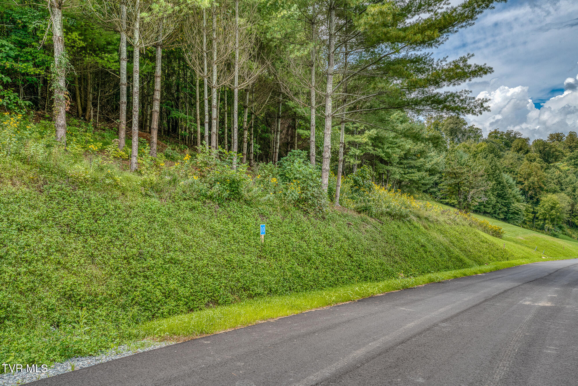 Lot 10 Cowan Town Road, Butler, Tennessee image 14