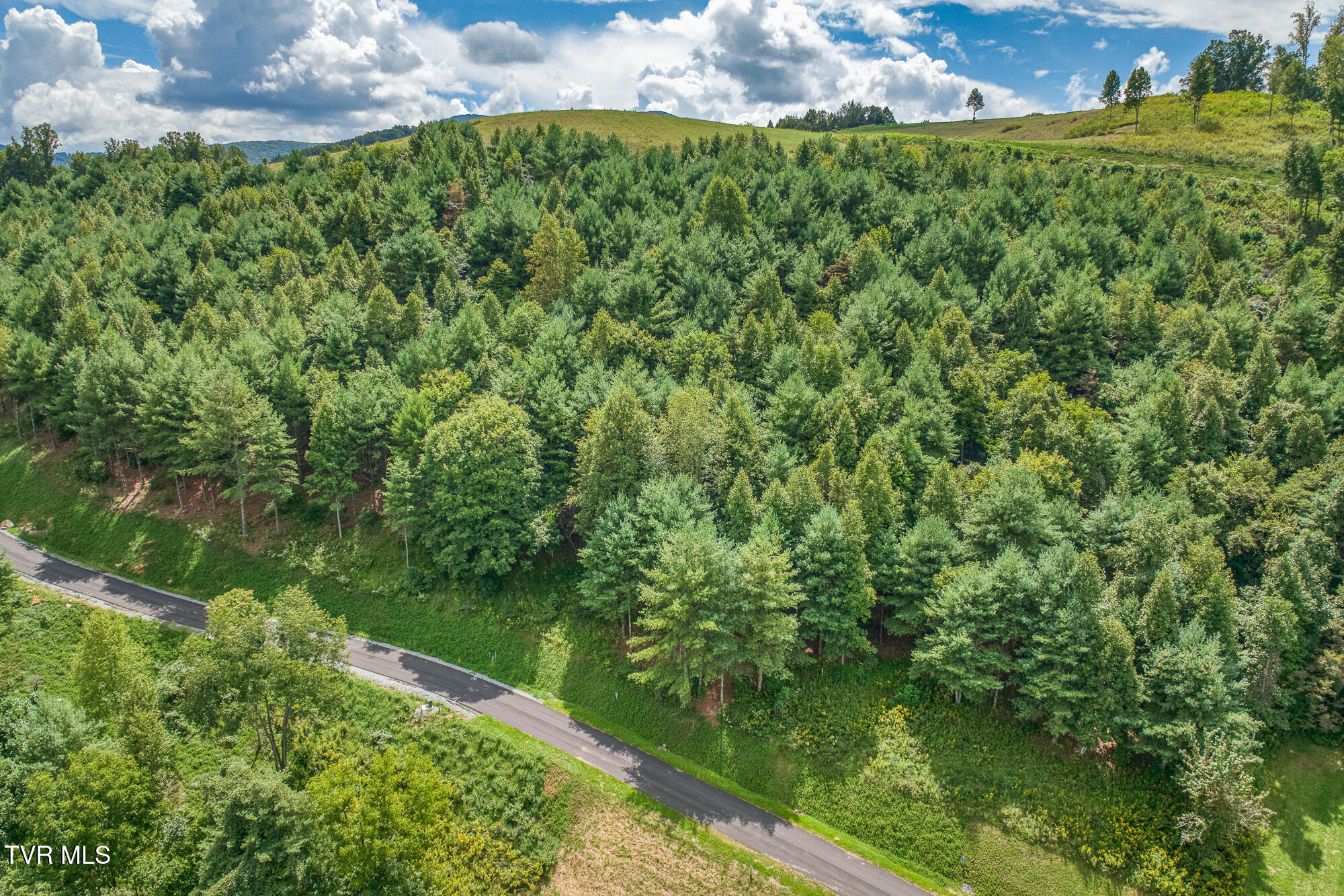 Lot 10 Cowan Town Road, Butler, Tennessee image 18