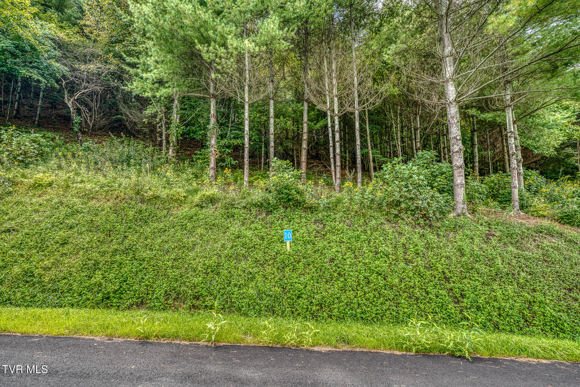 Lot 10 Cowan Town Road, Butler, Tennessee image 20