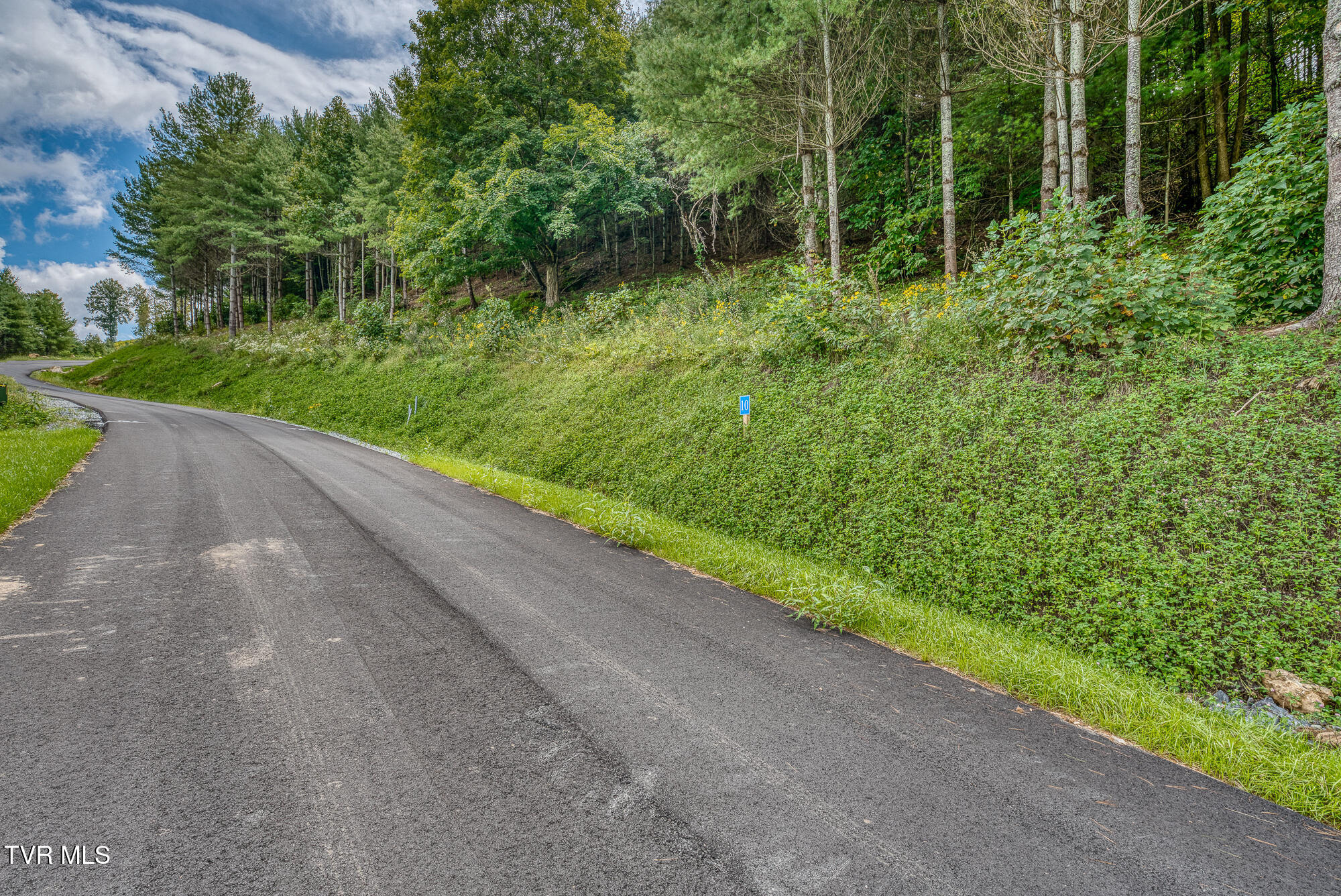 Lot 10 Cowan Town Road, Butler, Tennessee image 16