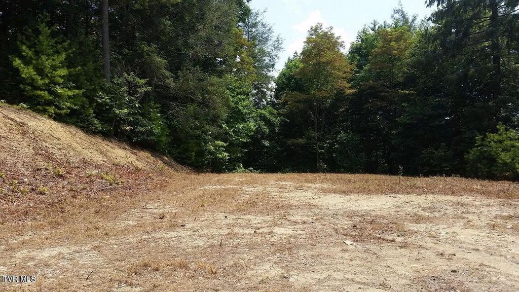 Photo of Tbd Heartwood Lane, Butler, TN 37640 (MLS # 9986729)