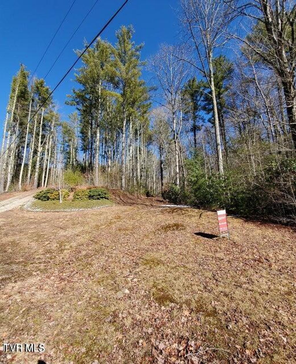 Photo of Tbd Heartwood Lane, Butler, TN 37640 (MLS # 9986729)