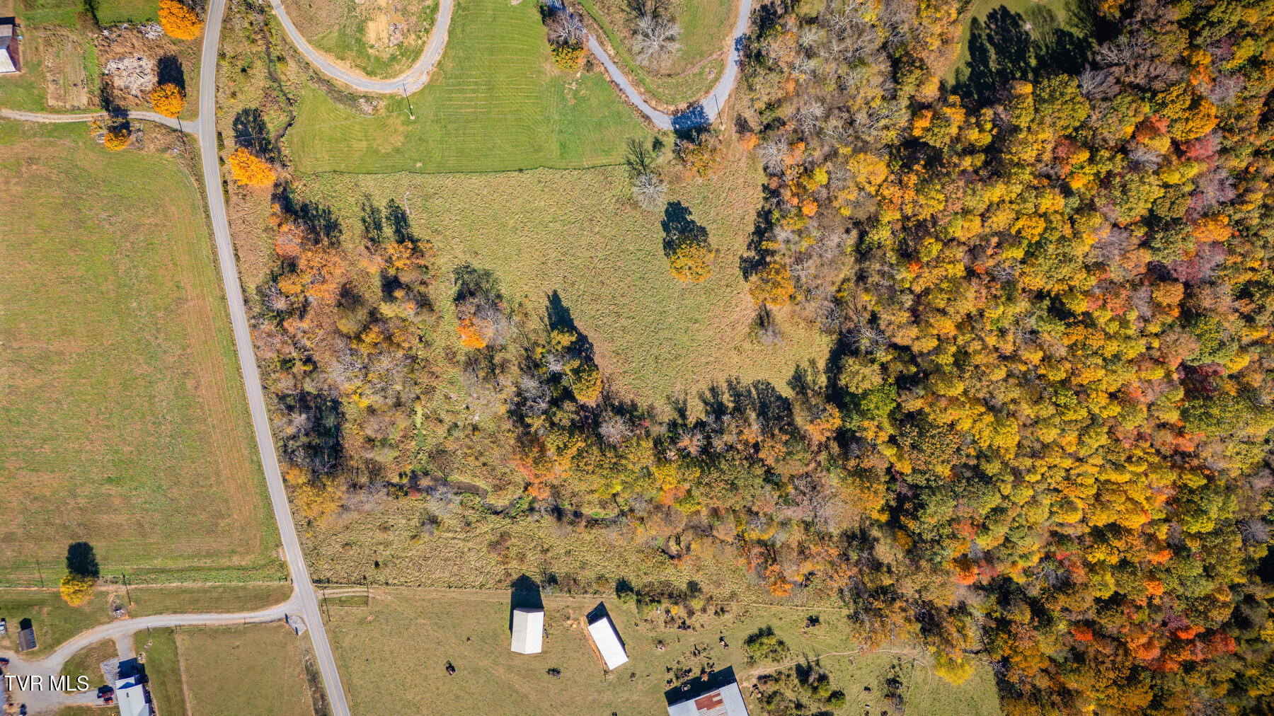 Tbd Pleasant Grove Road, Limestone, Tennessee image 2