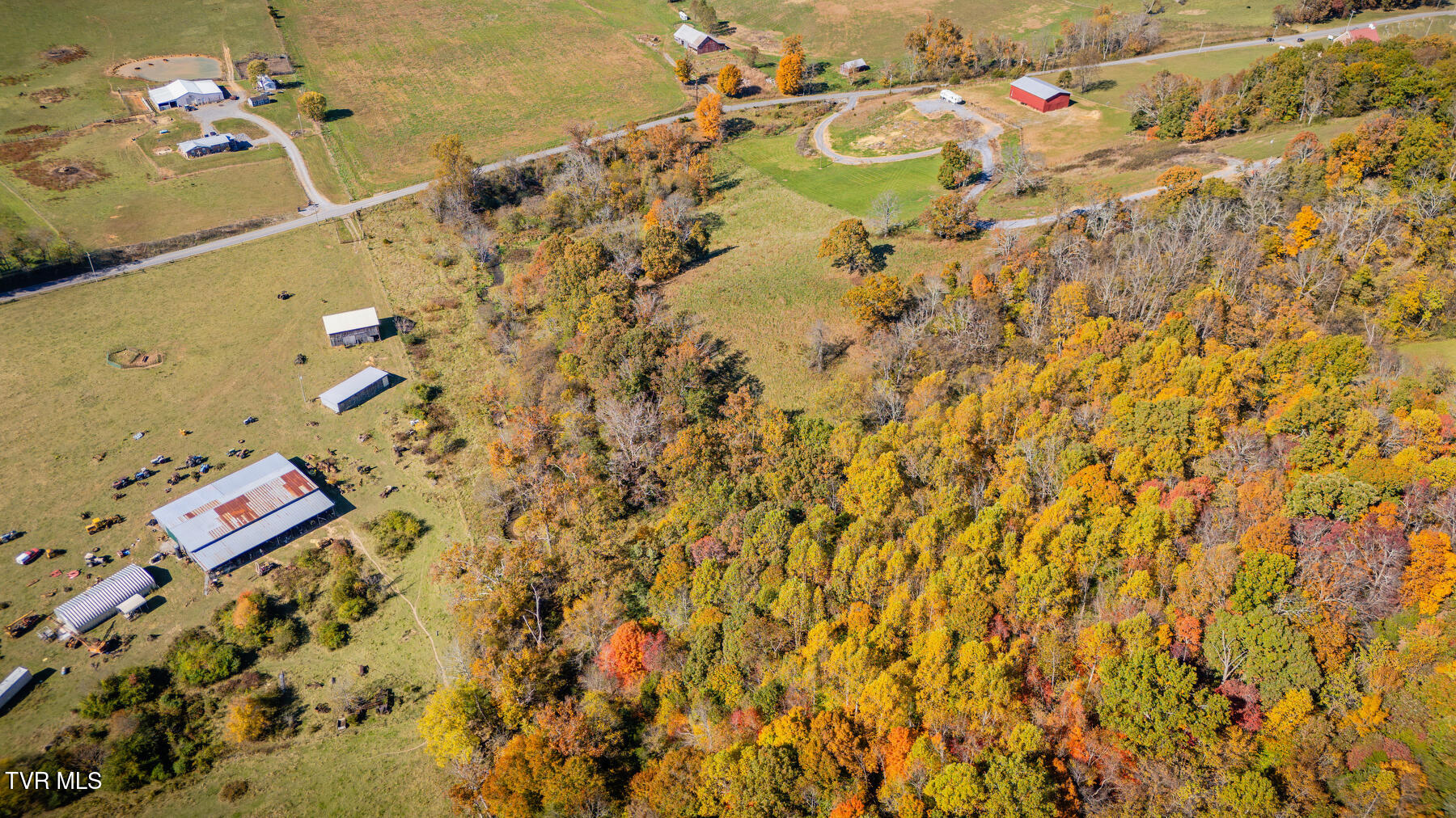 Tbd Pleasant Grove Road, Limestone, Tennessee image 11