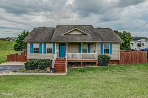 Photo of 602 Alfalfa Lane, Jonesborough, TN 37659 (MLS # 9990992)