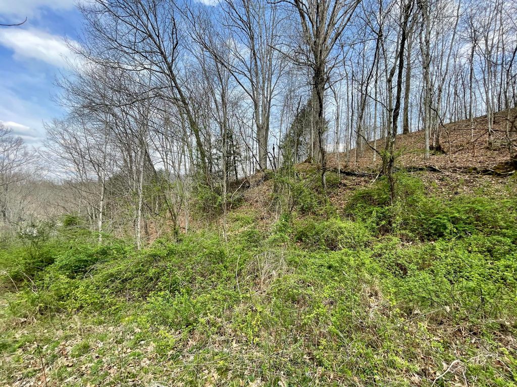 Photo of Tbd Orby Cantrell Highway, Wise, VA 24293 (MLS # 9920902)