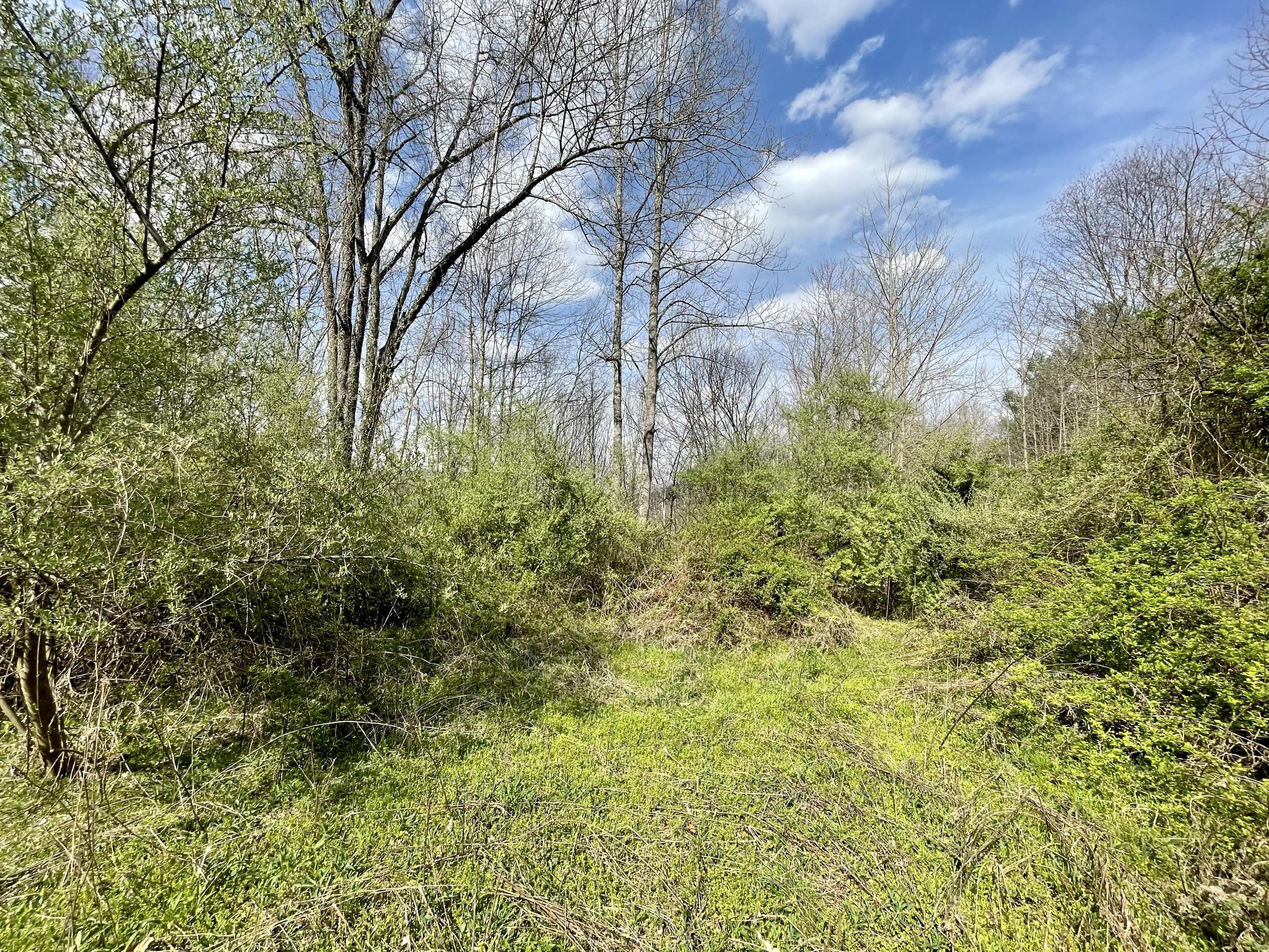 Tbd Orby Cantrell Highway, Wise, Virginia image 7
