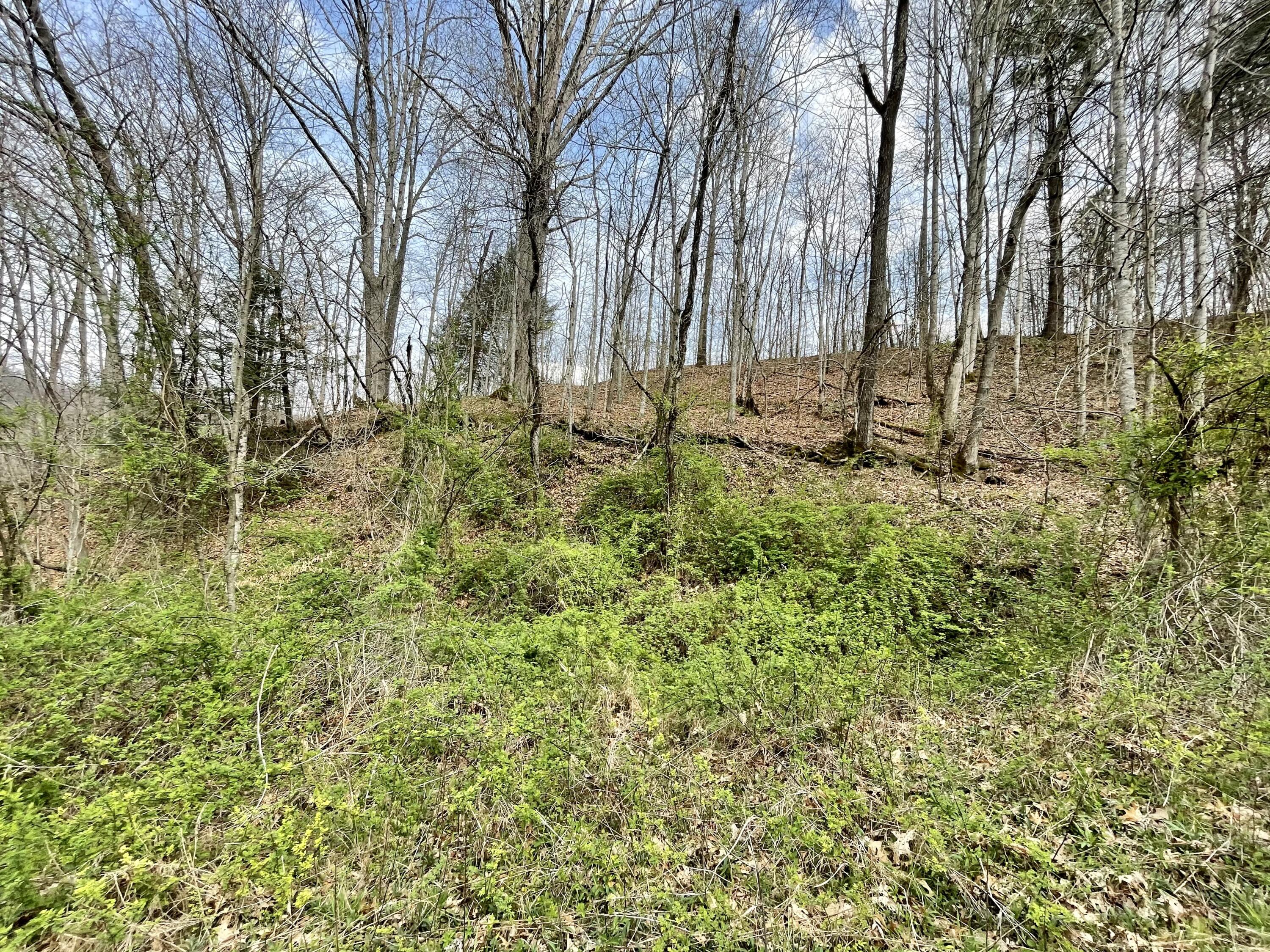 Tbd Orby Cantrell Highway, Wise, Virginia image 12
