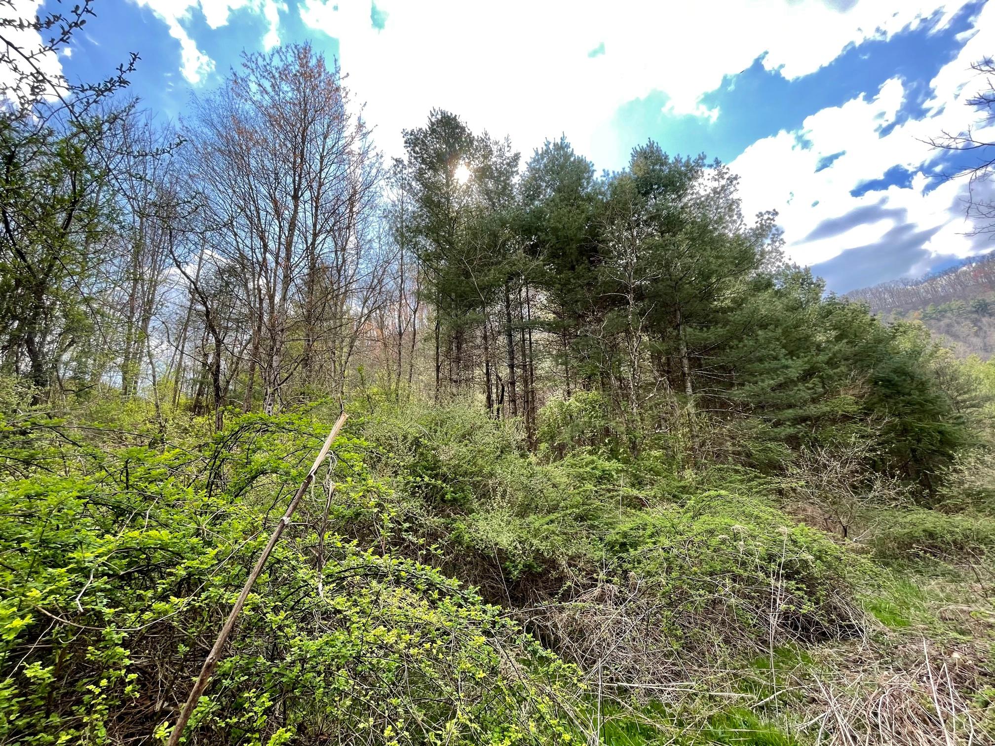 Tbd Orby Cantrell Highway, Wise, Virginia image 3
