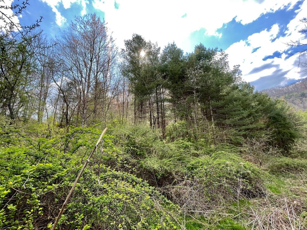 Photo of Tbd Orby Cantrell Highway, Wise, VA 24293 (MLS # 9920902)