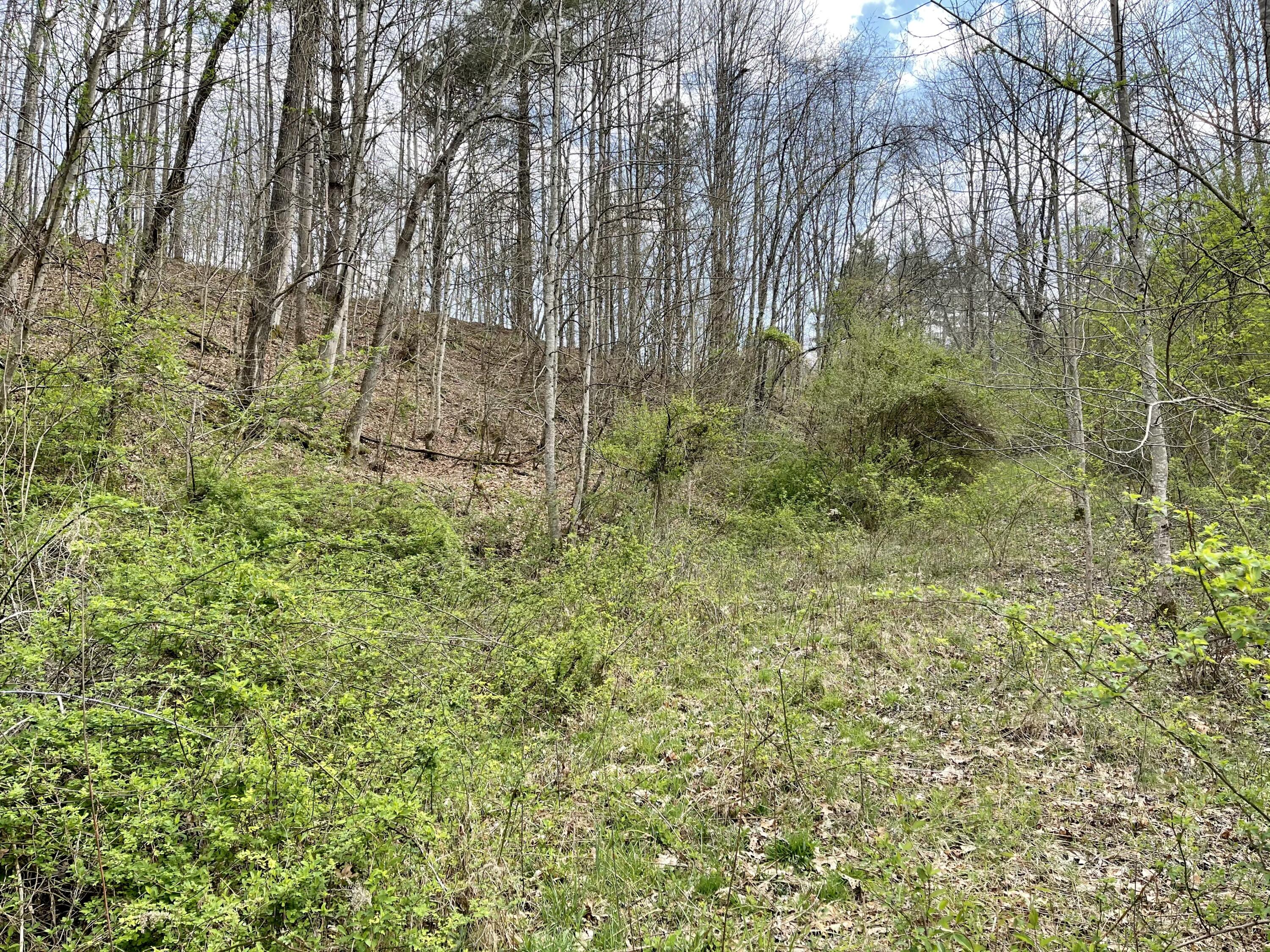 Tbd Orby Cantrell Highway, Wise, Virginia image 20