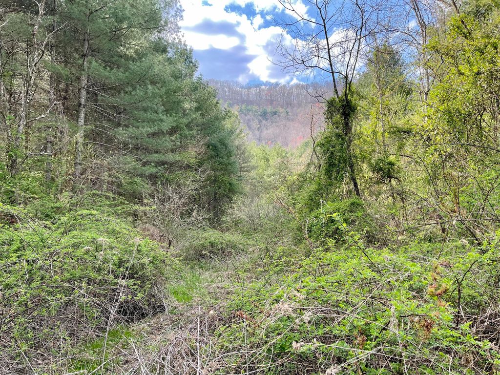 Photo of Tbd Orby Cantrell Highway, Wise, VA 24293 (MLS # 9920902)