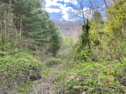 Vacant Land For Sale - TBD Orby Cantrell Highway<br/> Wise County, Wise, VA 24293