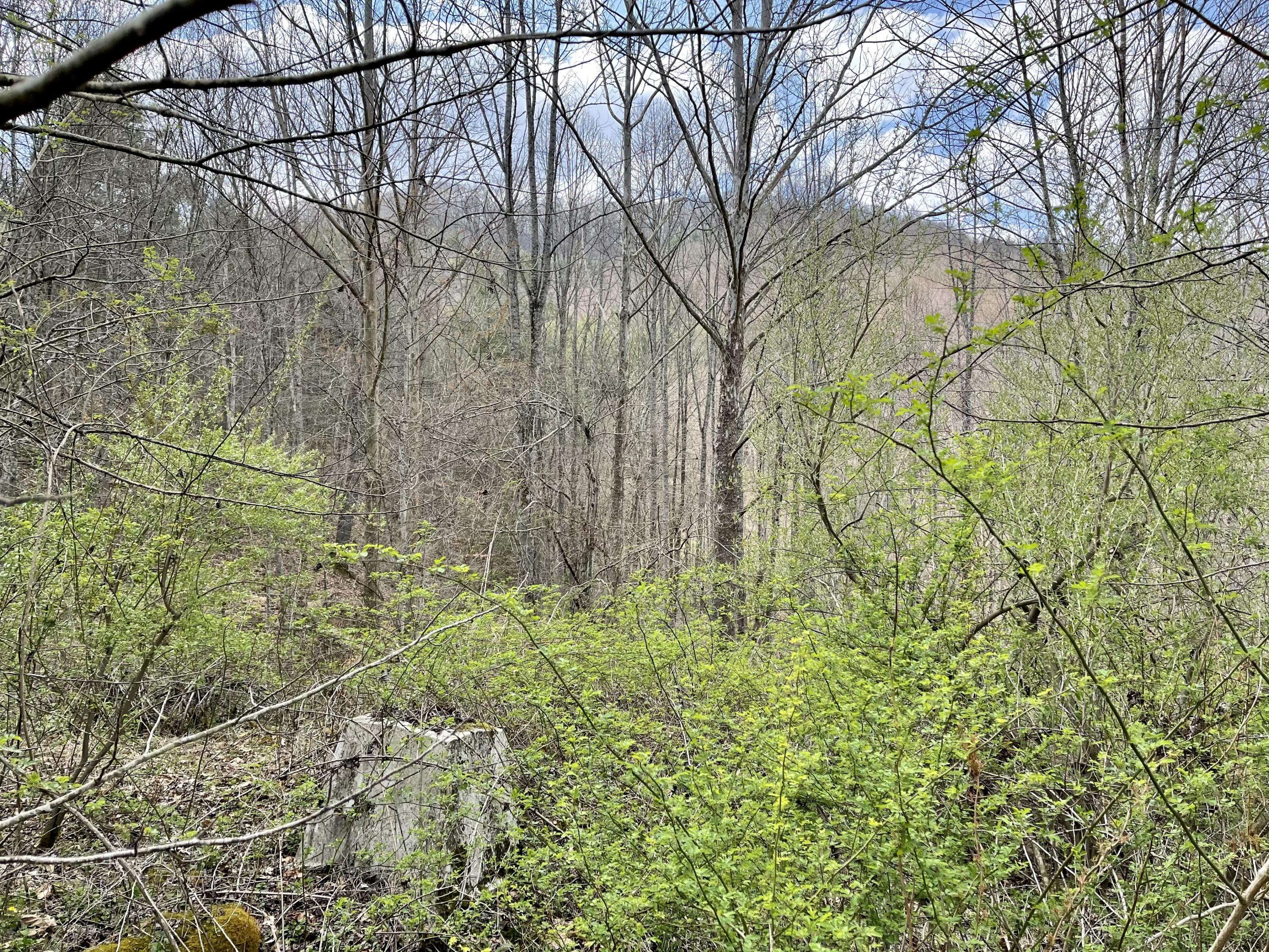 Tbd Orby Cantrell Highway, Wise, Virginia image 18