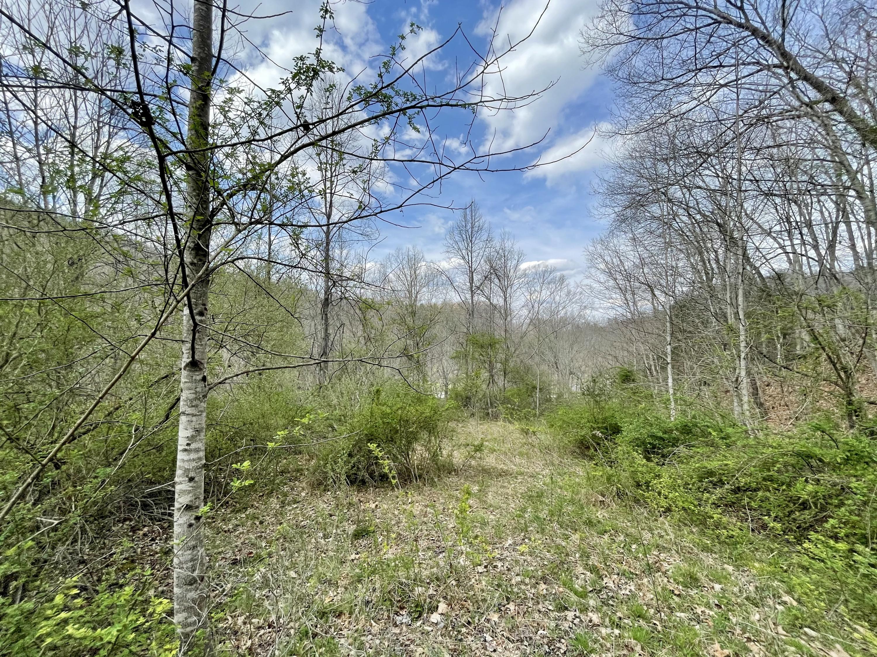 Tbd Orby Cantrell Highway, Wise, Virginia image 15