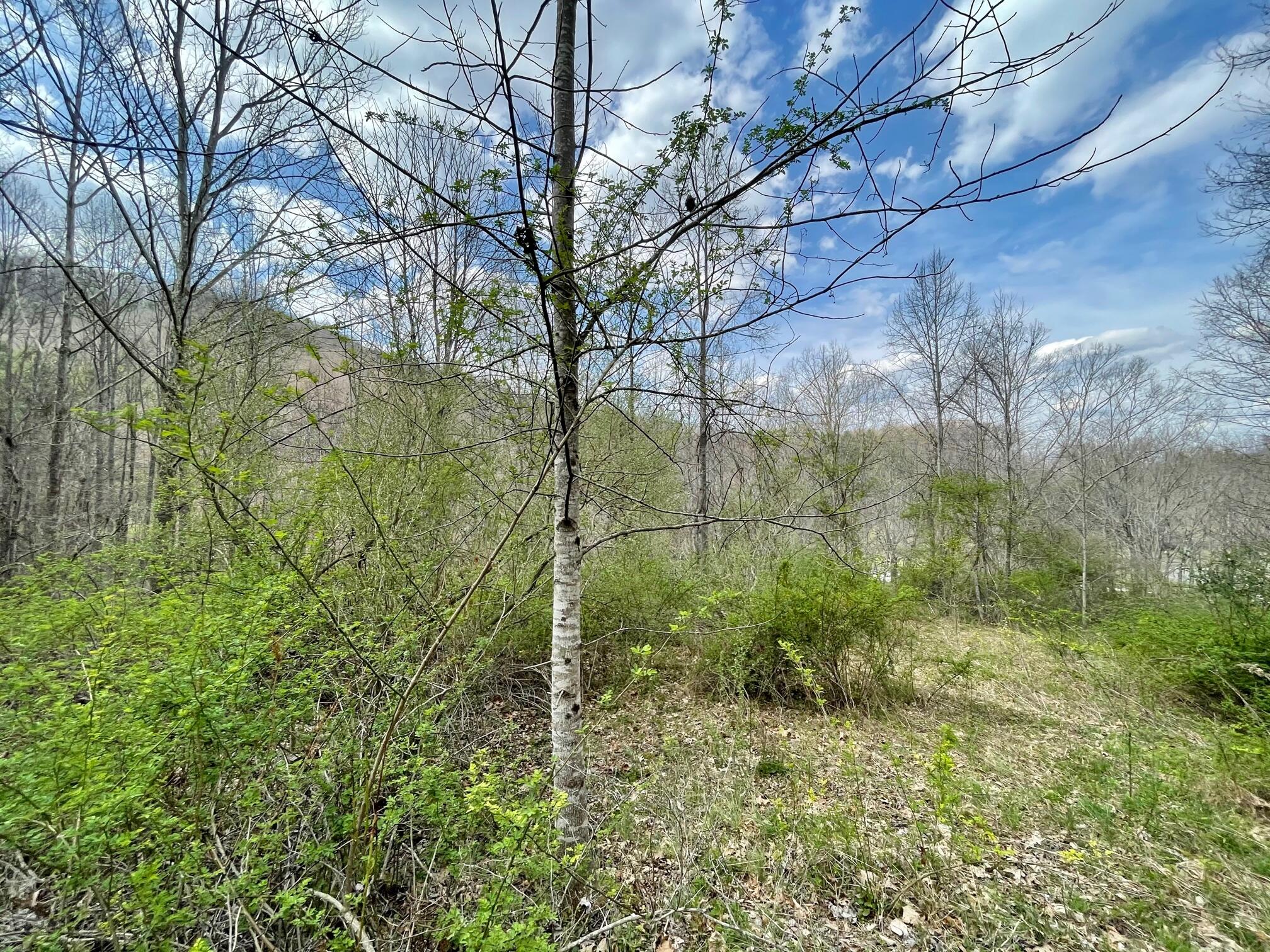 Tbd Orby Cantrell Highway, Wise, Virginia image 24