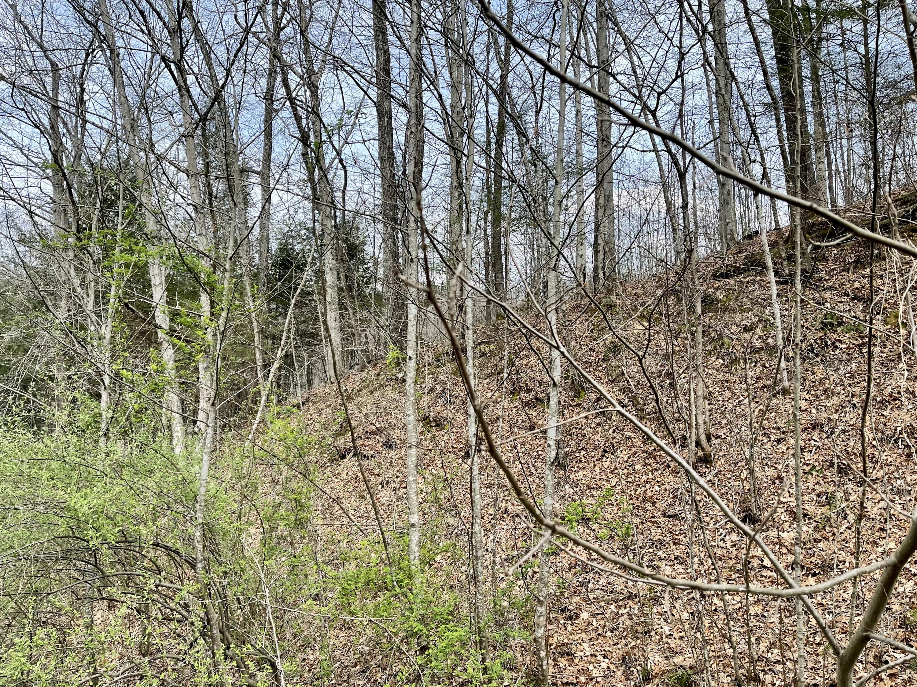 Tbd Orby Cantrell Highway, Wise, Virginia image 21