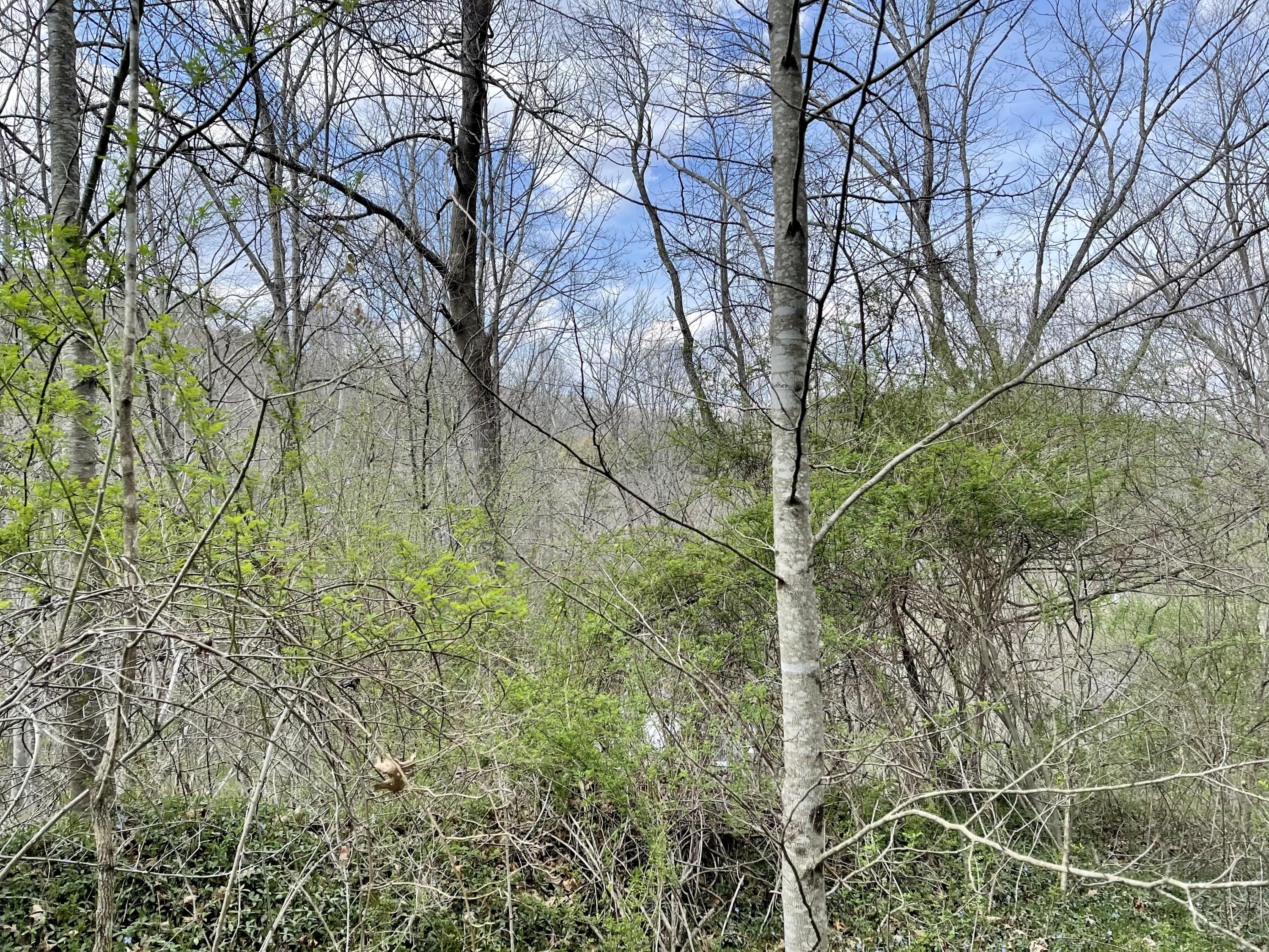 Tbd Orby Cantrell Highway, Wise, Virginia image 19