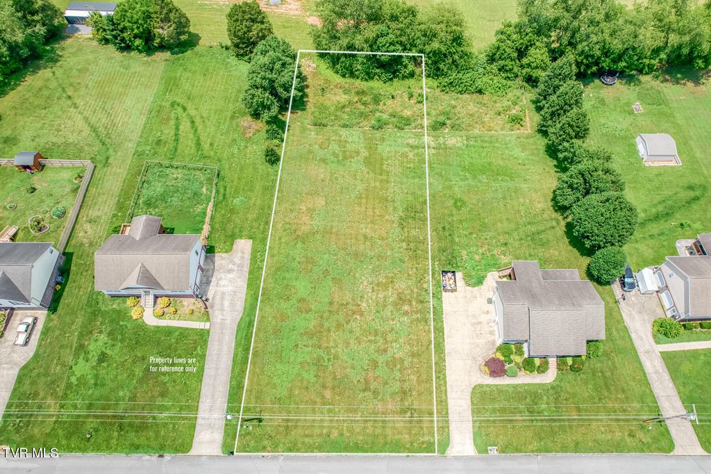 Photo of 273 Anderson Street, Limestone, TN 37681 (MLS # 9996951)