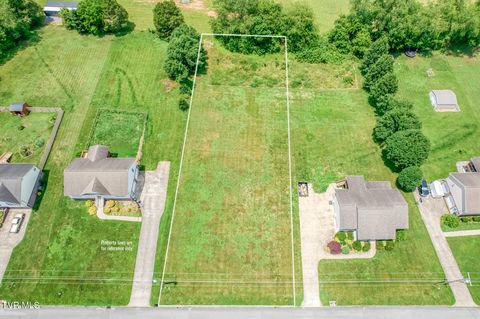Vacant Land For Sale - 273 Anderson Street<br/> Limestone, TN 37681