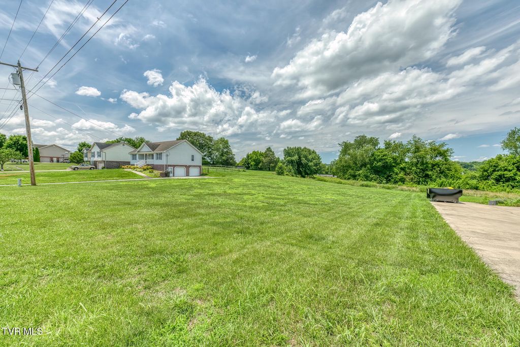 Photo of 273 Anderson Street, Limestone, TN 37681 (MLS # 9996951)