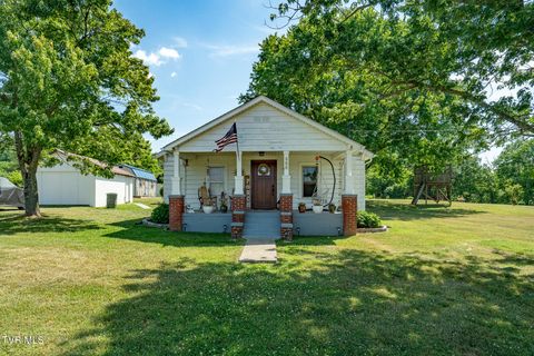 Photo of 380 Riverview Drive, Johnson City, TN 37601 (MLS # 9995739)