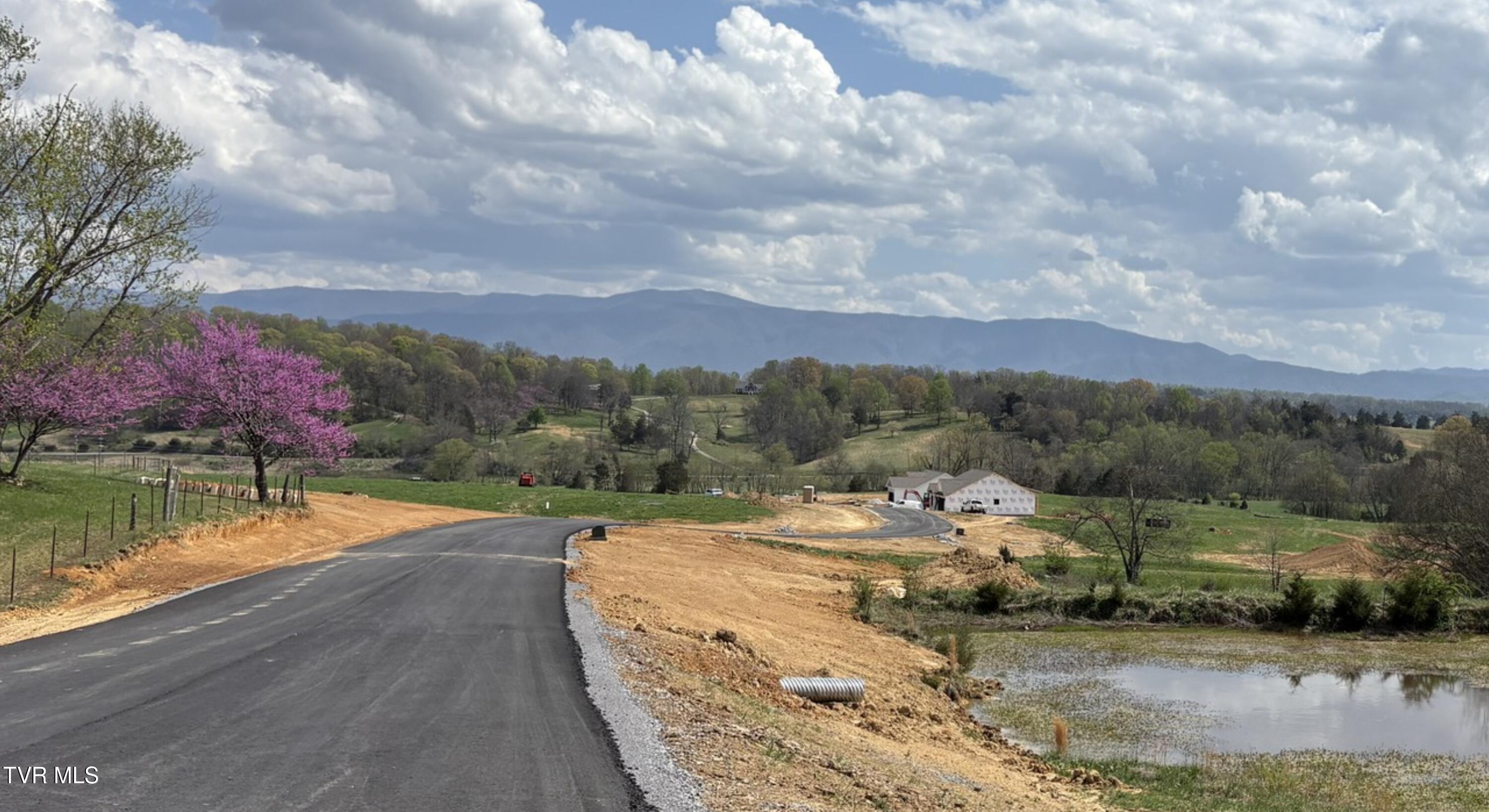 Tbd Red Tail Ridge #LOT  11, Greeneville, Tennessee image 6