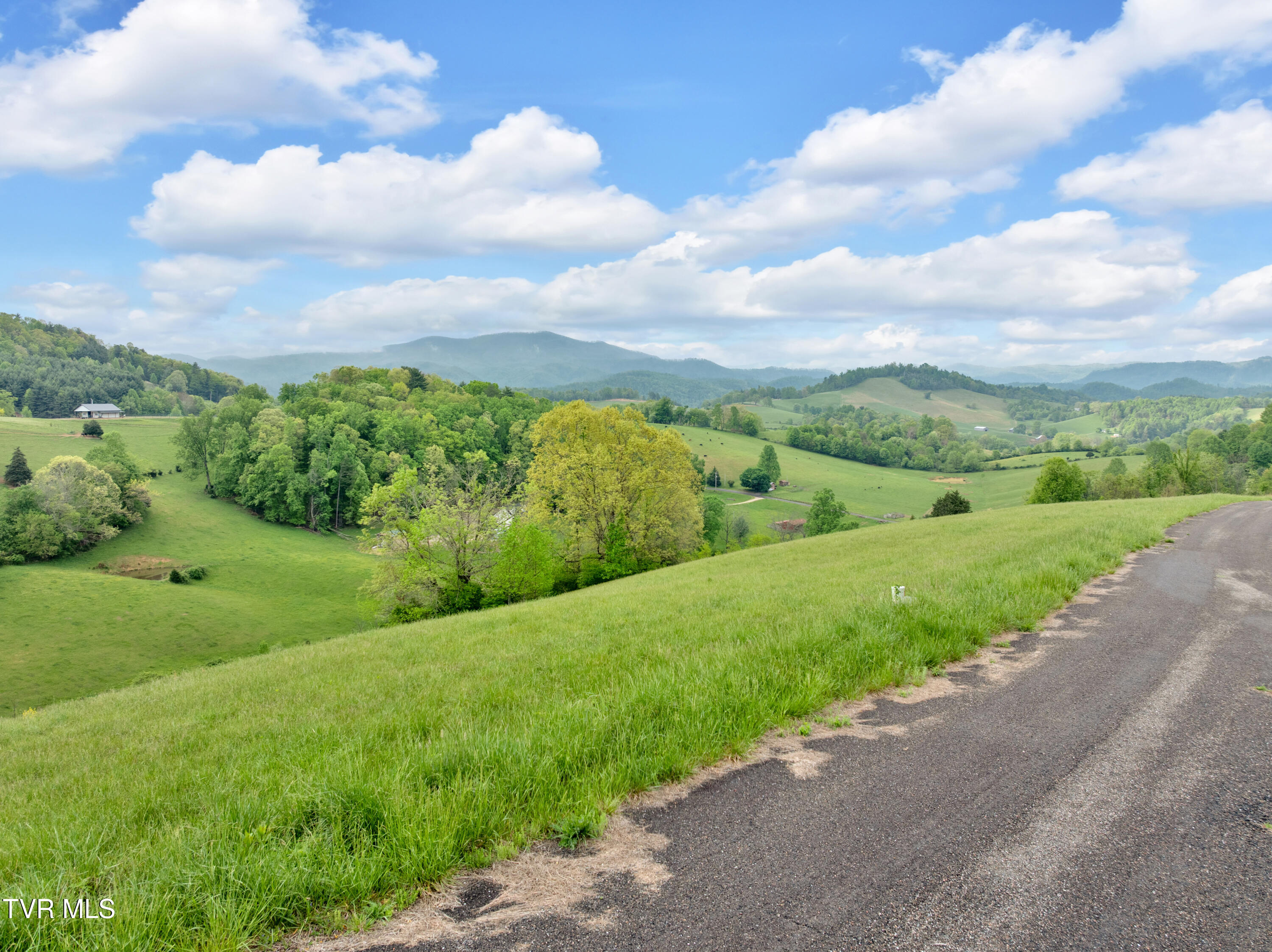 Lot 66 Maple Wood Road, Butler, Tennessee image 13