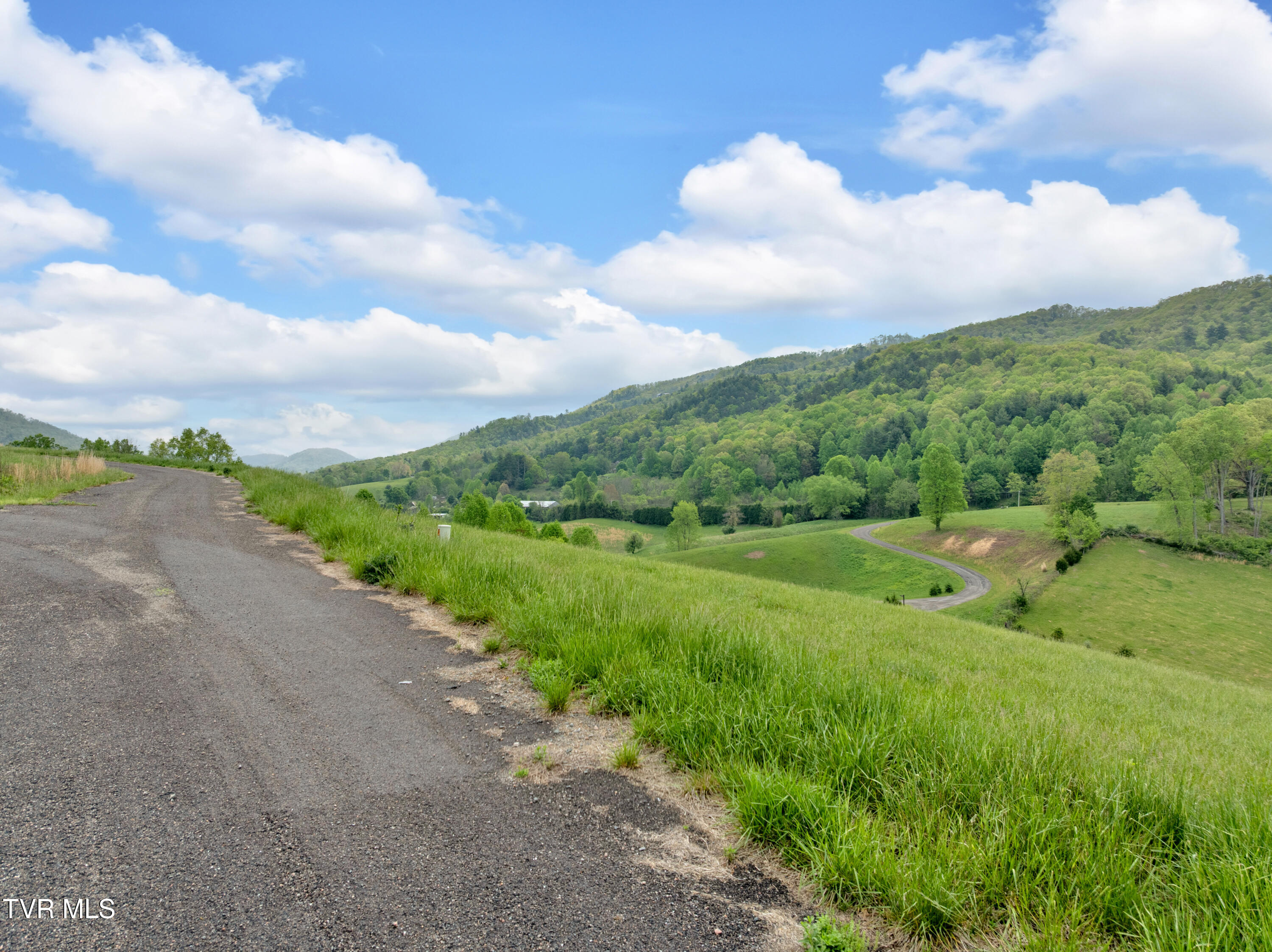 Lot 66 Maple Wood Road, Butler, Tennessee image 12