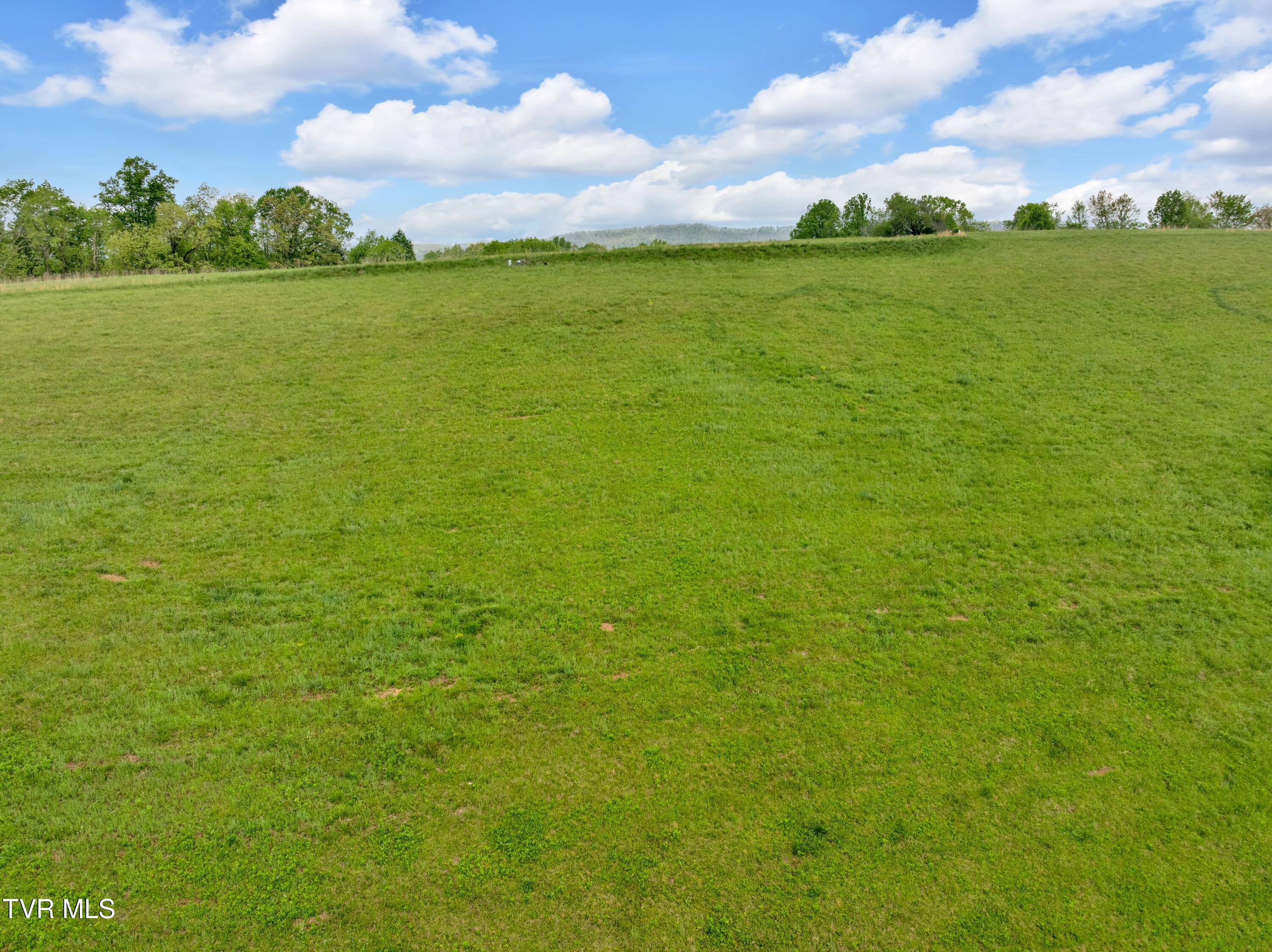Lot 66 Maple Wood Road, Butler, Tennessee image 11