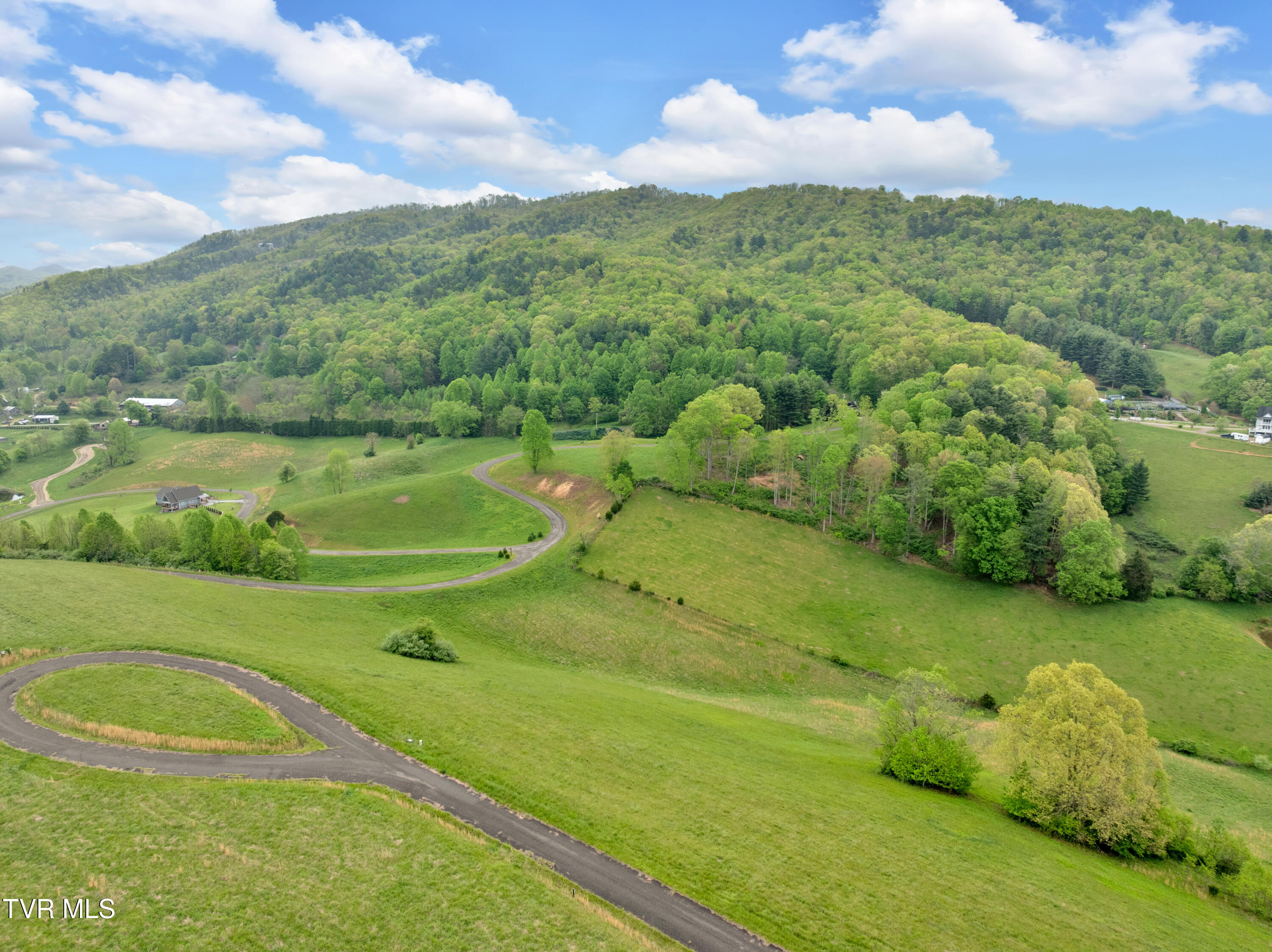 Lot 66 Maple Wood Road, Butler, Tennessee image 3