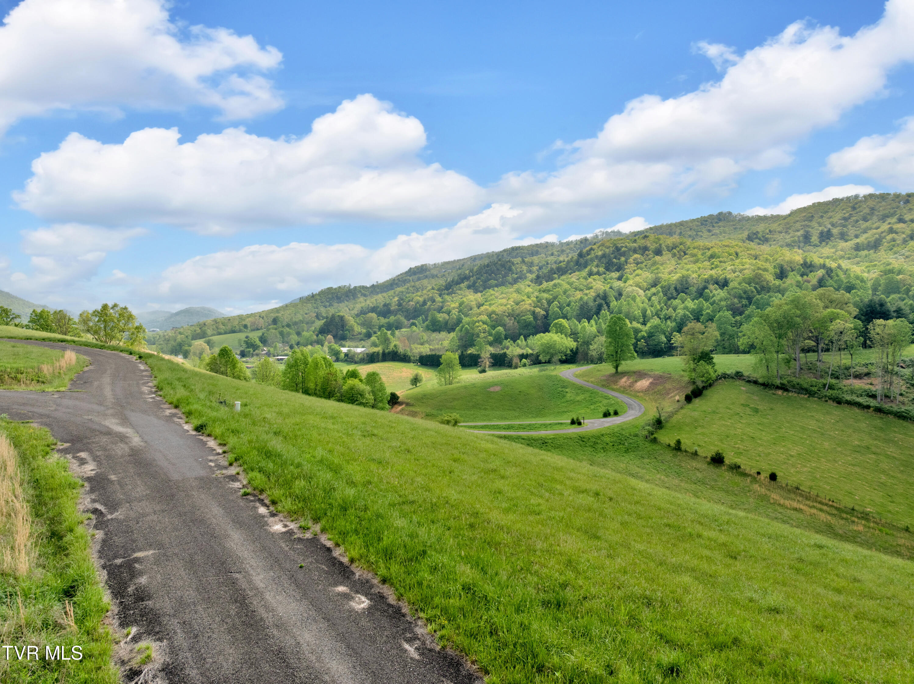 Lot 66 Maple Wood Road, Butler, Tennessee image 17
