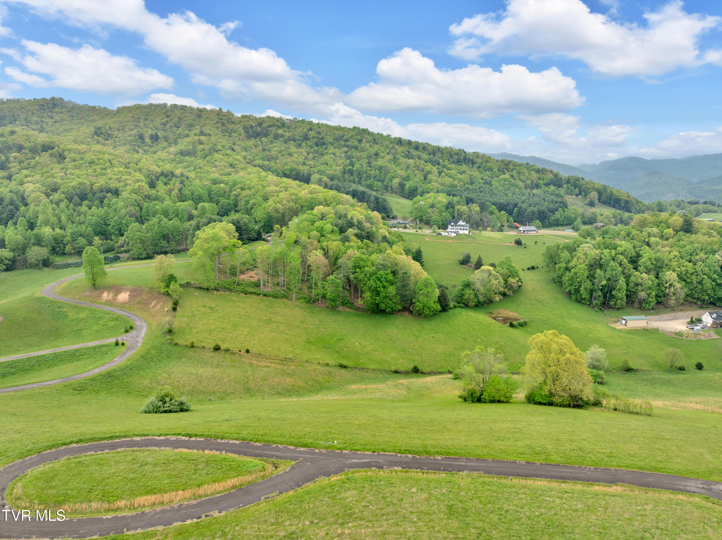 Lot 66 Maple Wood Road, Butler, Tennessee image 2