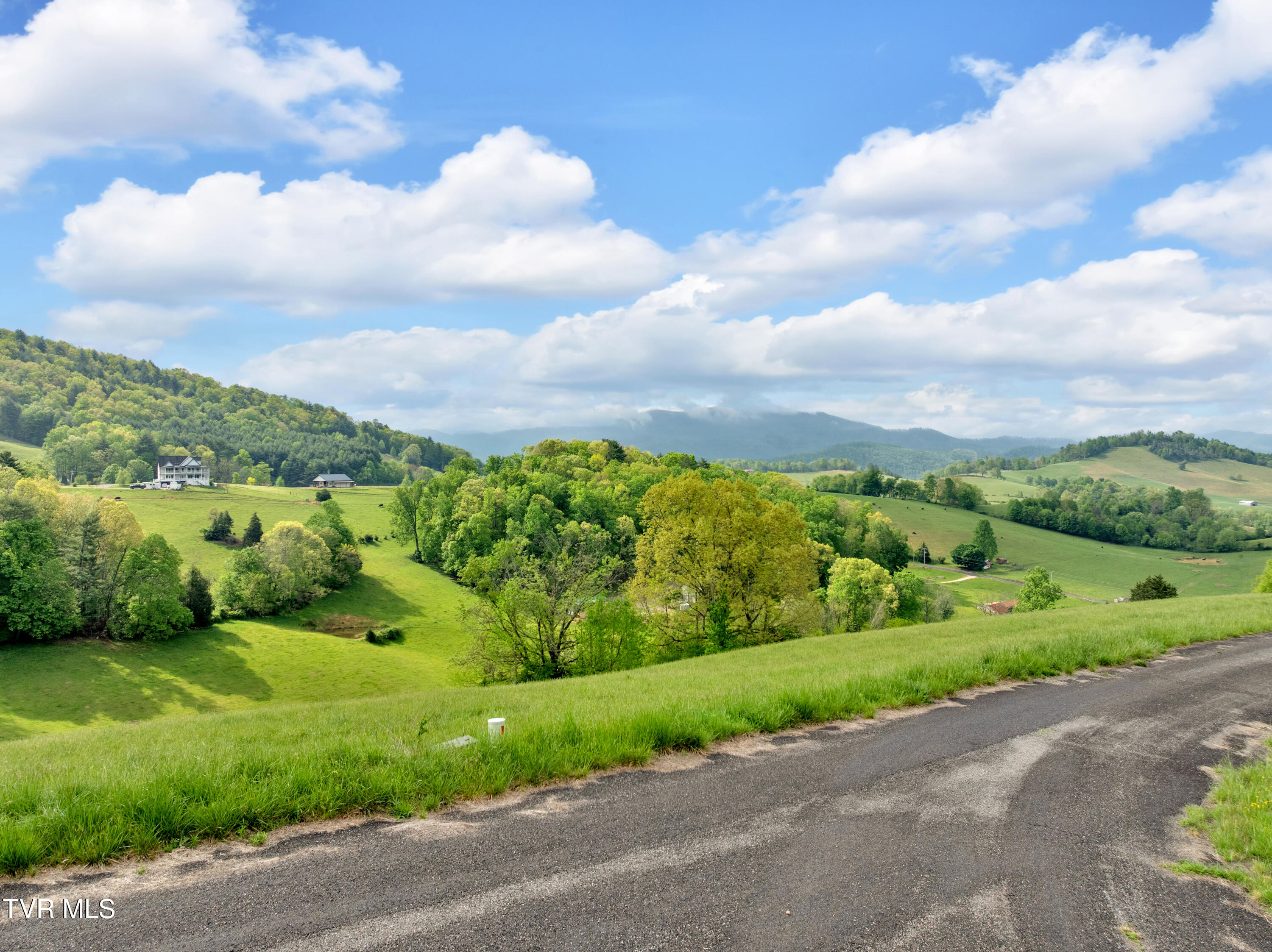 Lot 66 Maple Wood Road, Butler, Tennessee image 16