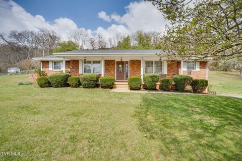 Photo of 509 Pine Ridge Road, Johnson City, TN 37601 (MLS # 9993172)