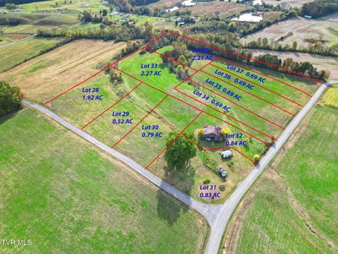 Vacant Land For Sale - LOT 29 Kenneytown Road<br/> Greeneville, TN 37745