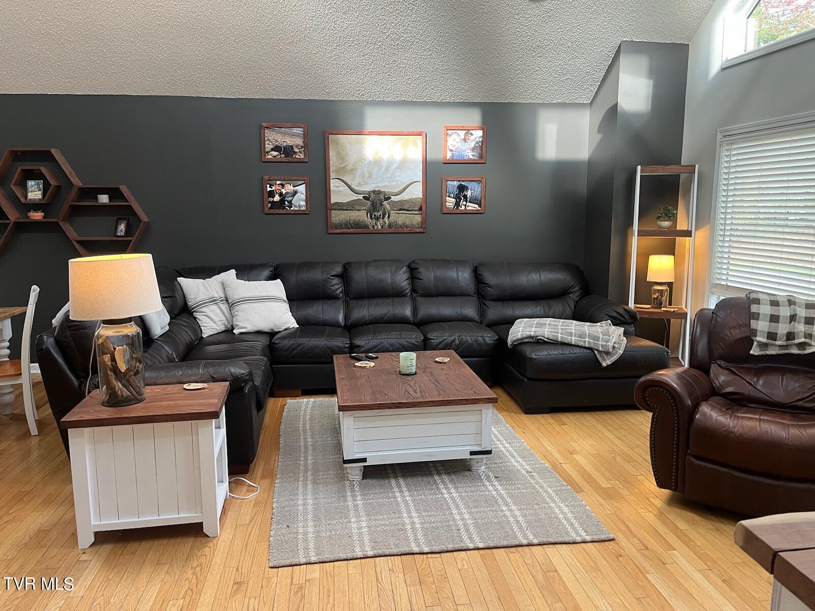 25538 Cornelius Drive, Abingdon, Virginia image 2