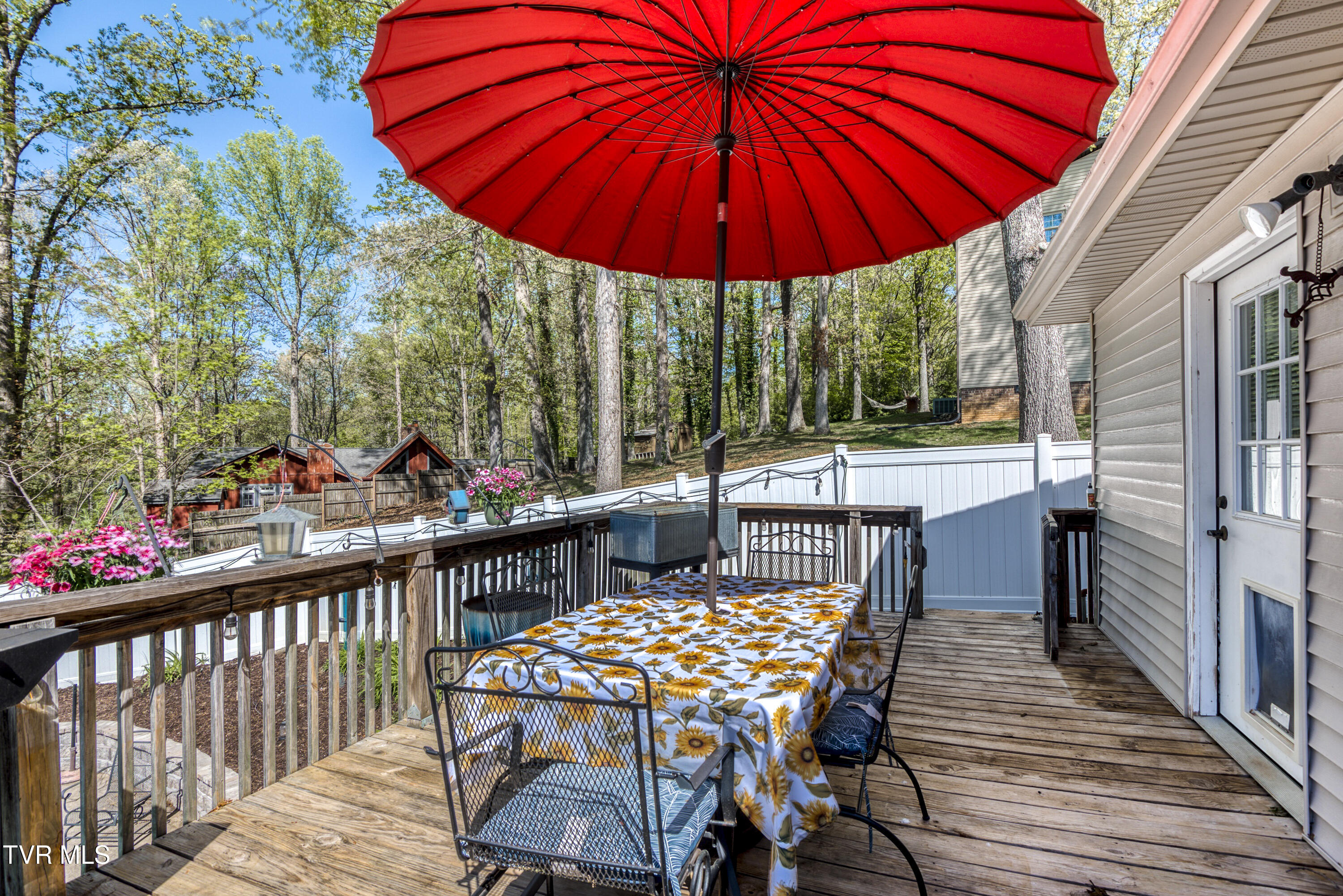 607 Dover Avenue, Mount Carmel, Tennessee image 11