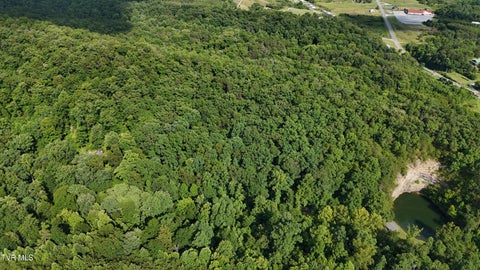 Vacant Land For Sale - LOT 9 Stone Mtn Road<br/> Bulls Gap, TN 37711