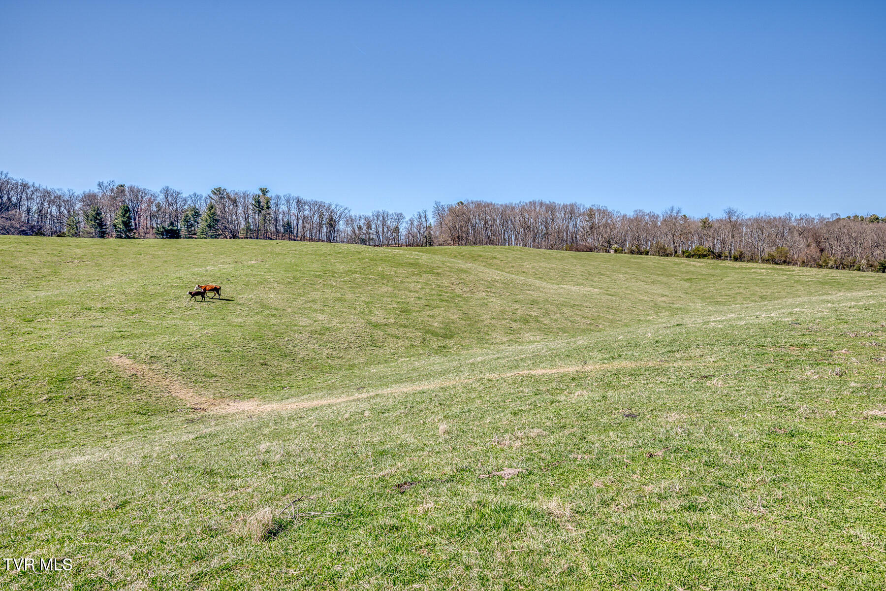 Tbd Highway 44 #LOT 9, Bristol, Tennessee image 4