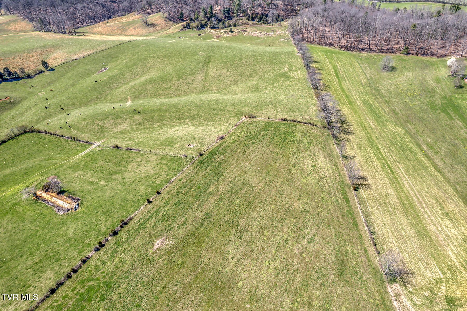 Tbd Highway 44 #LOT 9, Bristol, Tennessee image 1