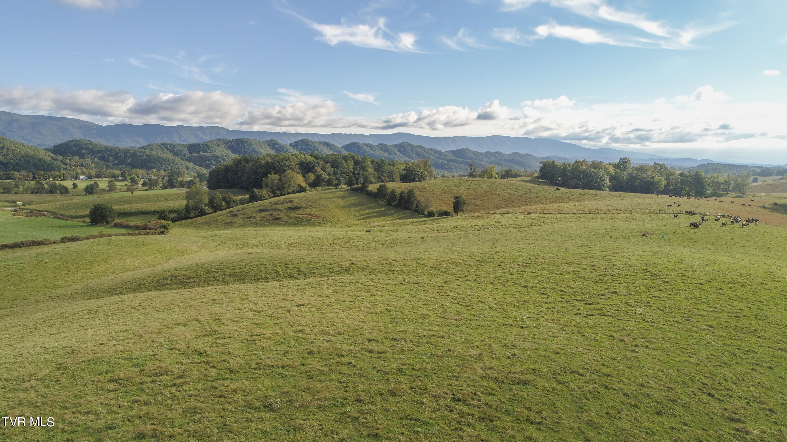 Tbd Highway 44 #LOT 9, Bristol, Tennessee image 9