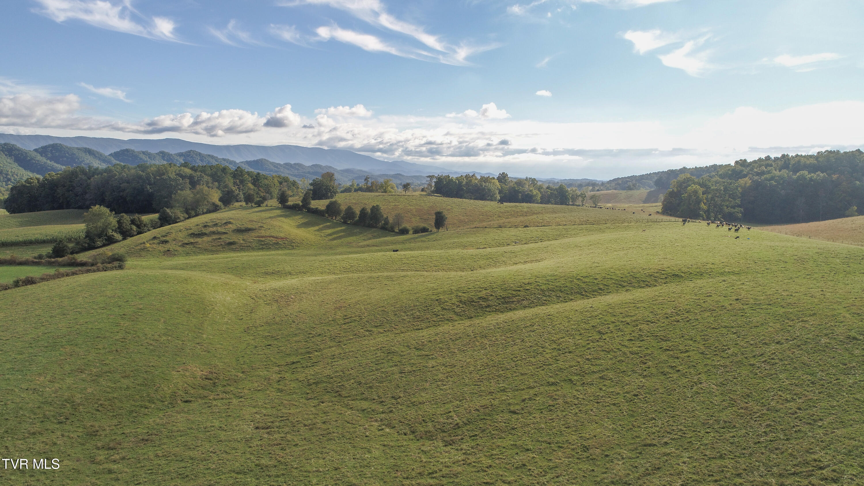 Tbd Highway 44 #LOT 9, Bristol, Tennessee image 10