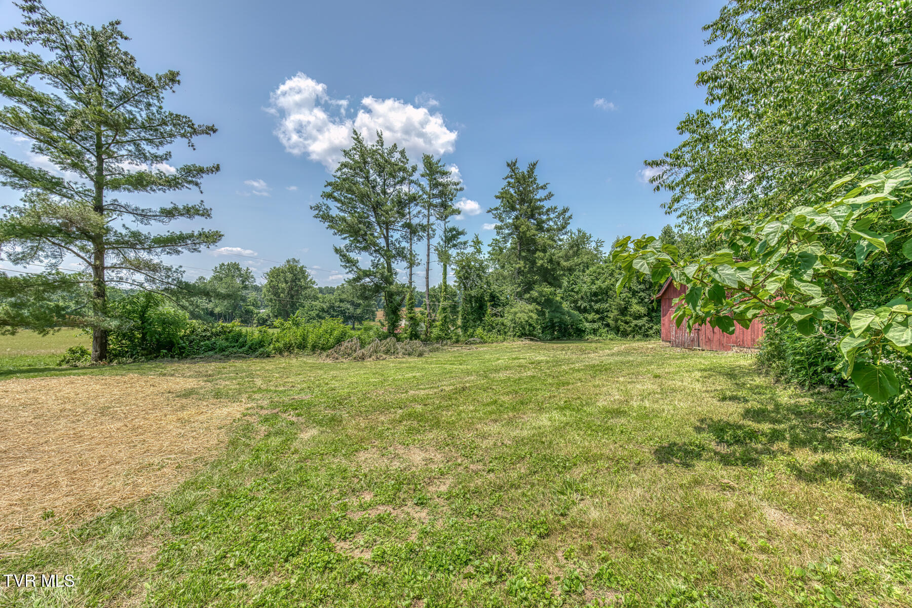 963 Church Road, Fall Branch, Tennessee image 9
