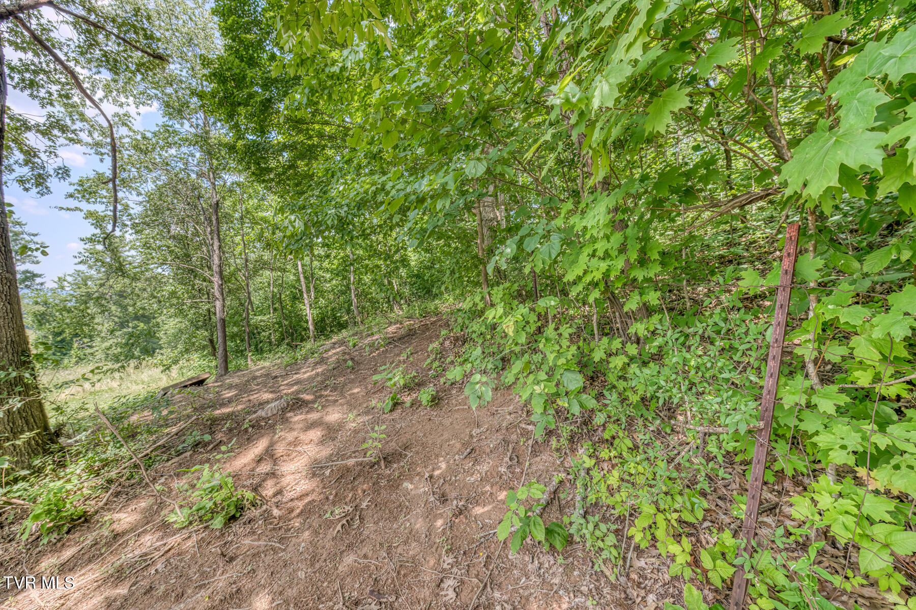 963 Church Road, Fall Branch, Tennessee image 23