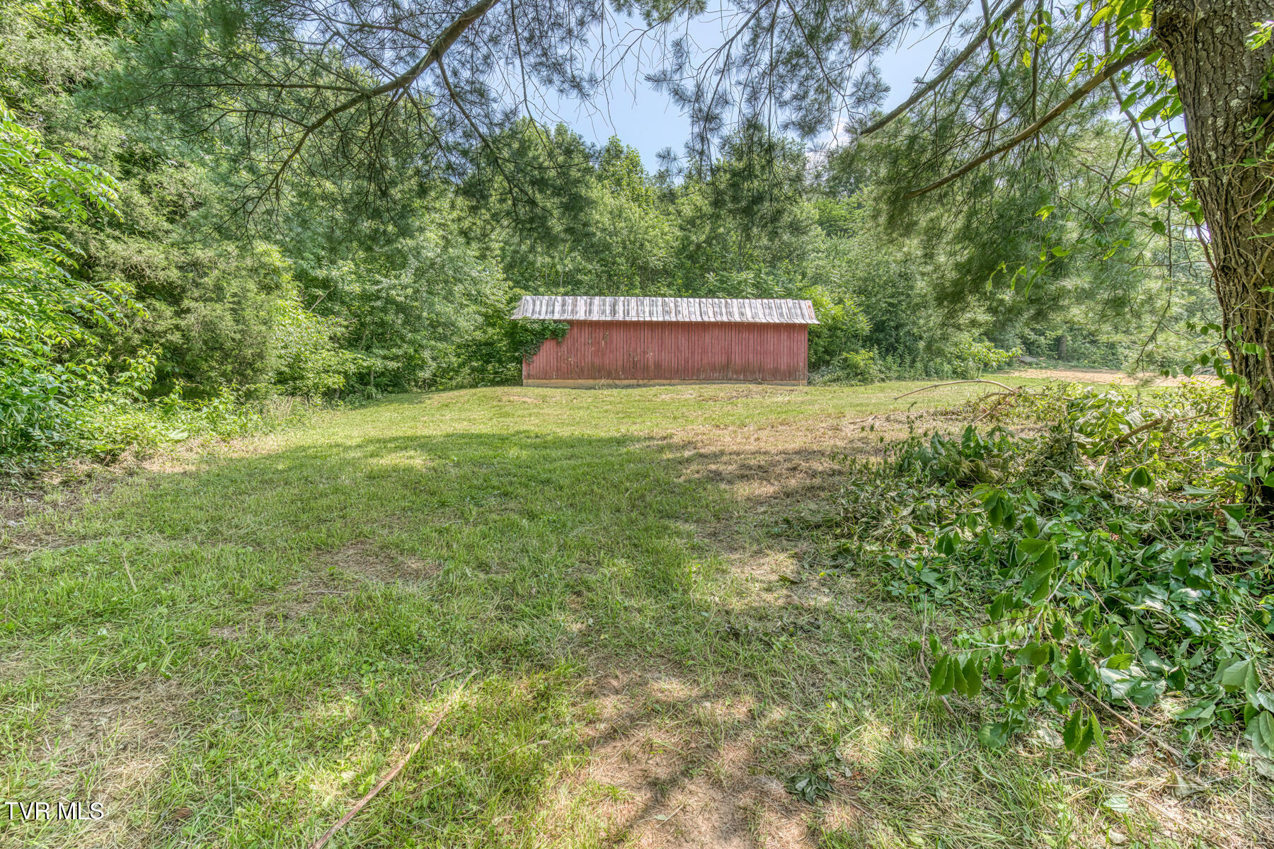 963 Church Road, Fall Branch, Tennessee image 4