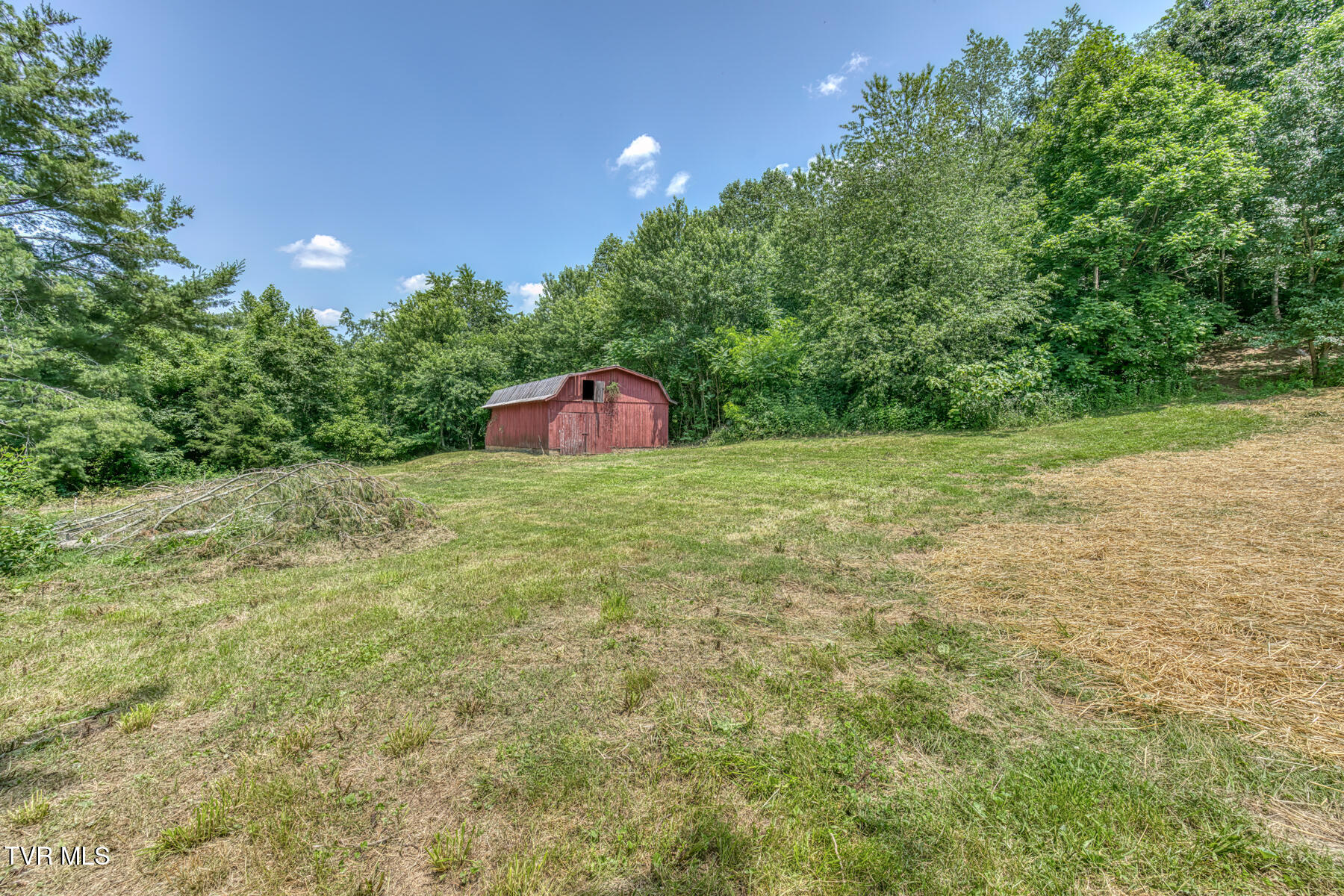 963 Church Road, Fall Branch, Tennessee image 7