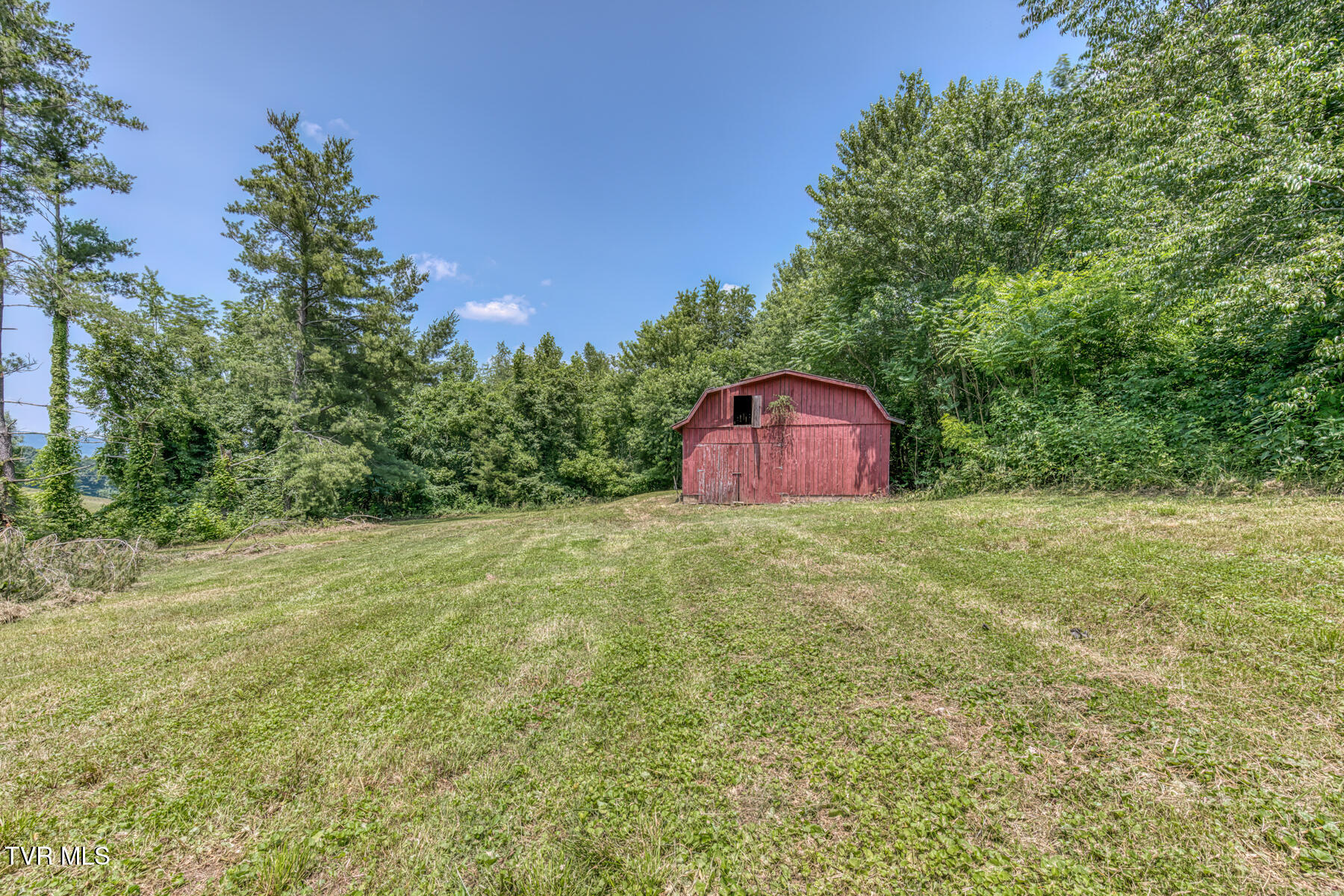 963 Church Road, Fall Branch, Tennessee image 8
