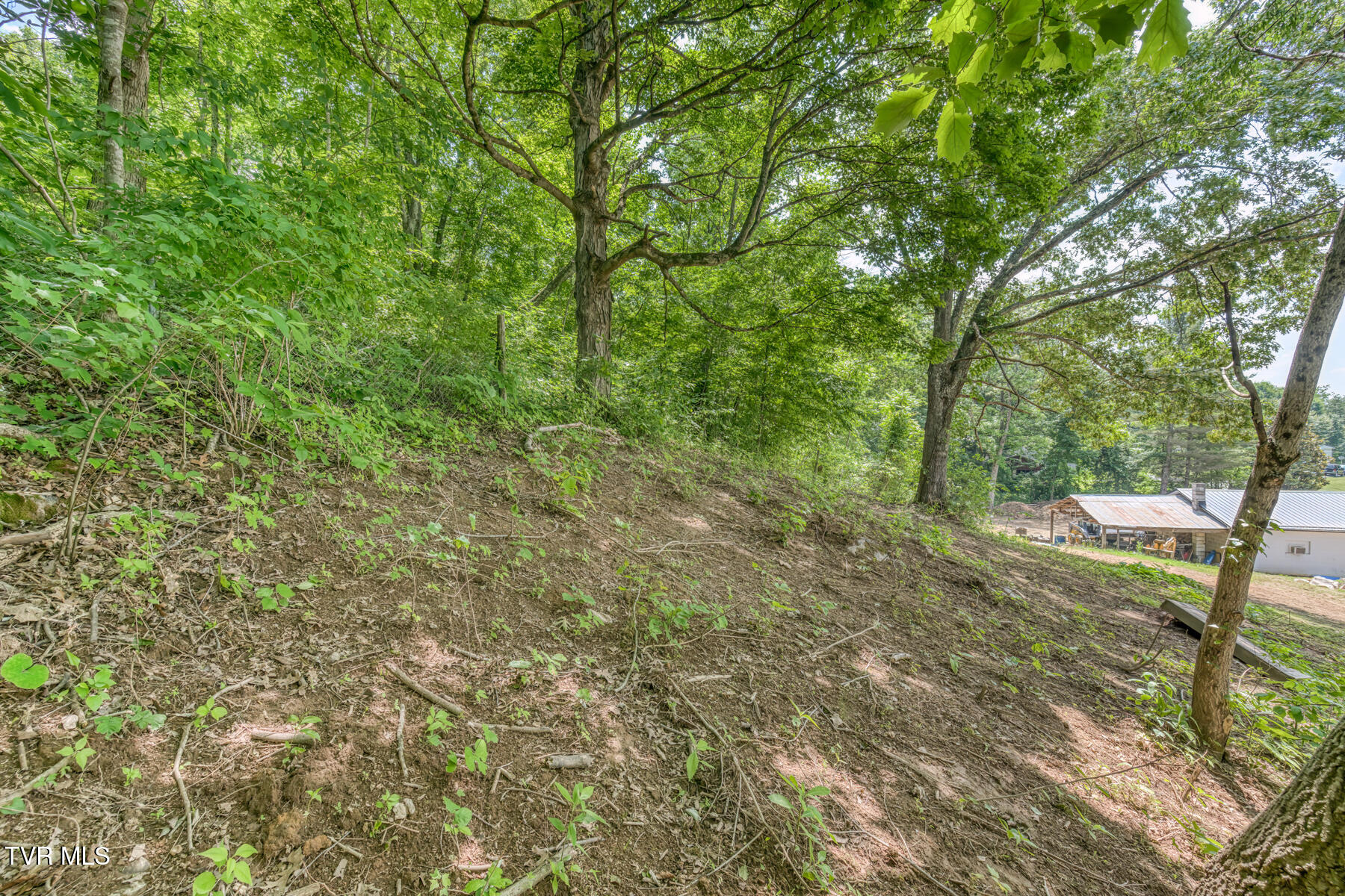 963 Church Road, Fall Branch, Tennessee image 22