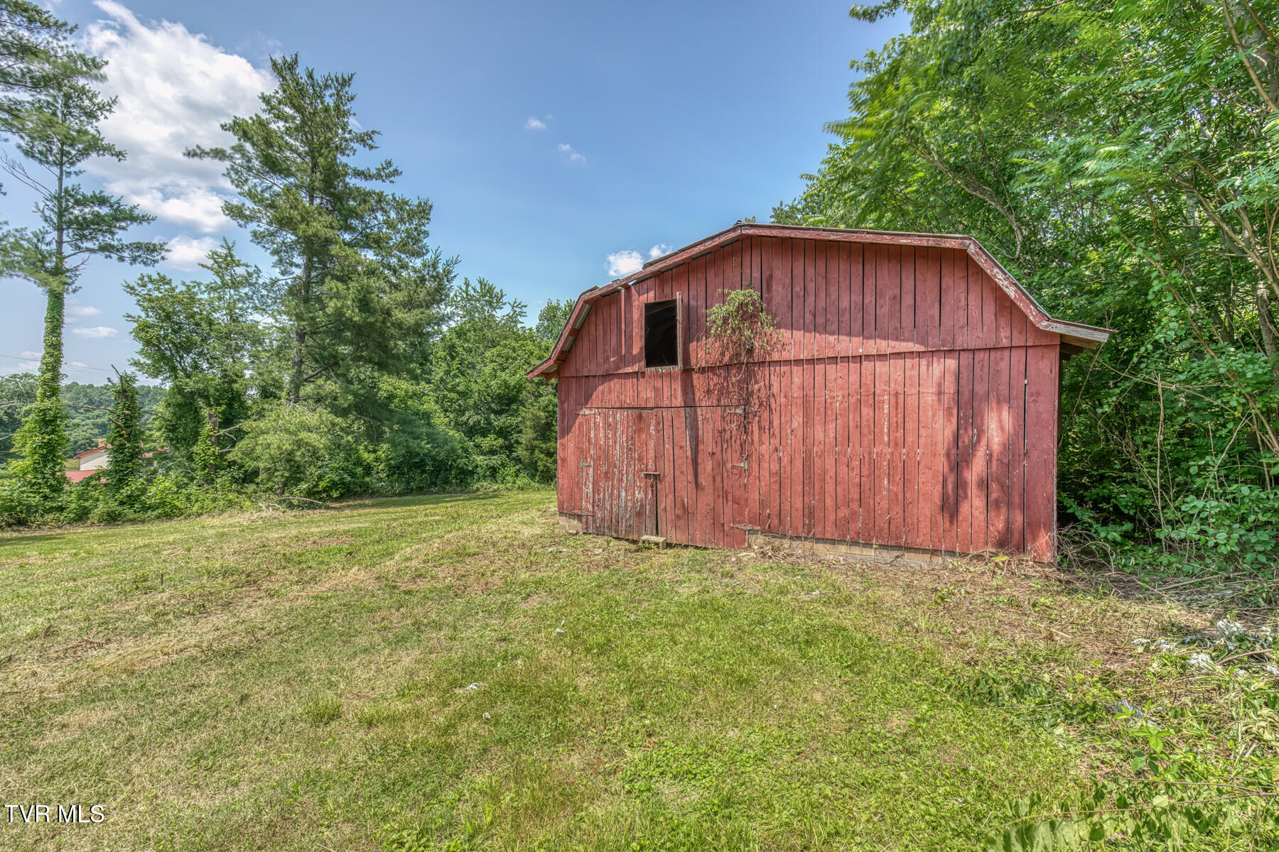 963 Church Road, Fall Branch, Tennessee image 10